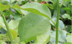 突發(fā)！湖北一污水處理廠管道施工突發(fā)塌方事故 致1受傷！ 